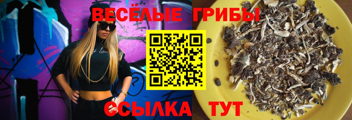 Псилоцибиновые грибы Magic Shrooms Сегежа