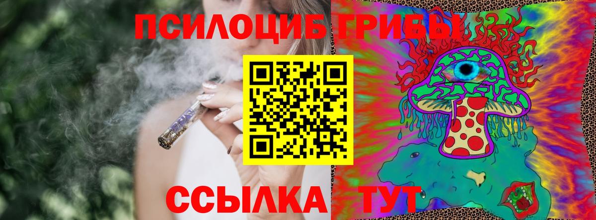 Псилоцибиновые грибы мицелий  Вход с VPN  Сегежа 